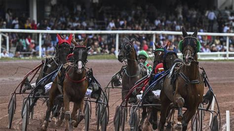 Jument de trot en pleine course