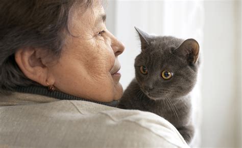 Personne âgée caressant un chat