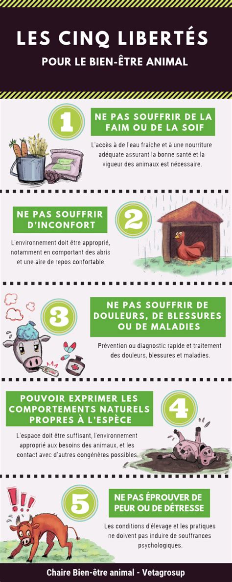 Diagramme des cinq libertés du bien-être animal