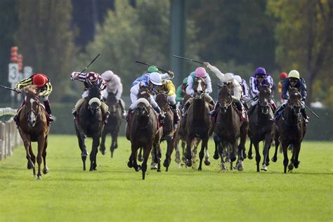 Un tableau des résultats de courses de chevaux avec des colonnes pour la date, le nom de la course, la distance, le nombre de partants, la dotation et le classement