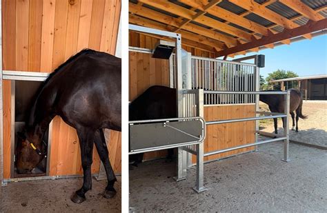 Distributeur automatique de concentré (DAC) pour chevaux
