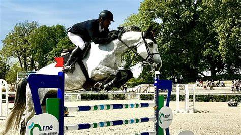 Cavalier et cheval en plein saut d'obstacles lors d'un stage