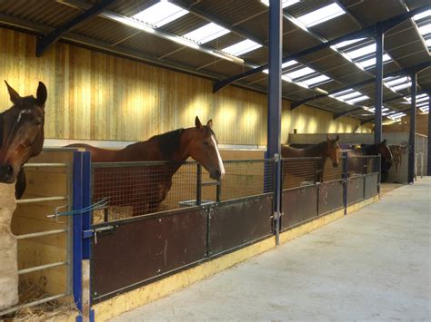 Écurie de chevaux de course au trot