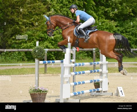 Cavalier et cheval franchissant un oxer