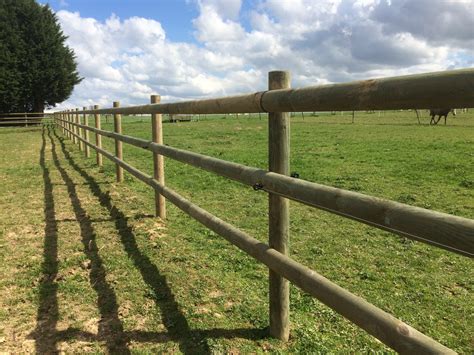 Schéma de paddocks modulables avec clôtures