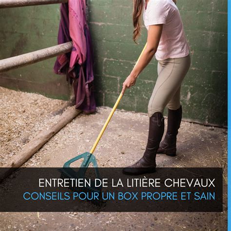 Intérieur d'un box propre et bien aménagé dans les écuries