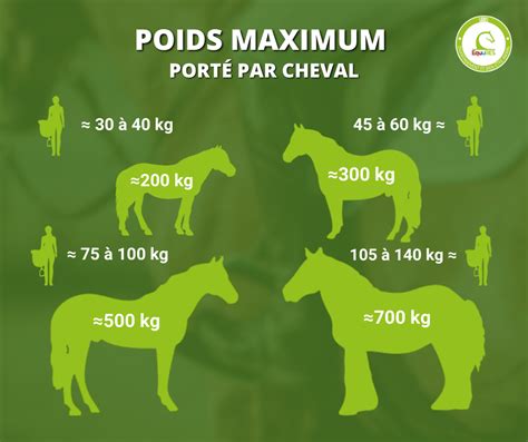 Infographie expliquant la règle des 15% pour le poids du cavalier et du cheval