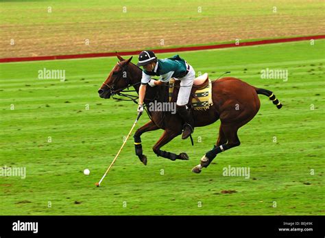 Cavaliers en plein galop avec des écouteurs