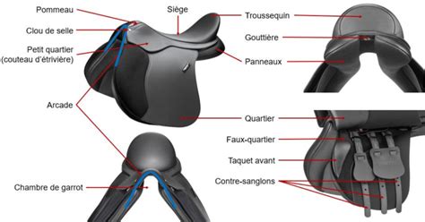 Schéma d'un arçon de selle démonté