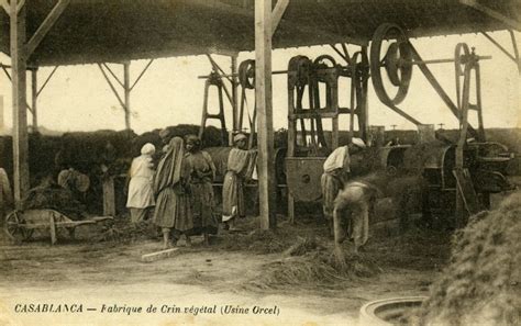 Ancienne usine de crin végétal au Maroc