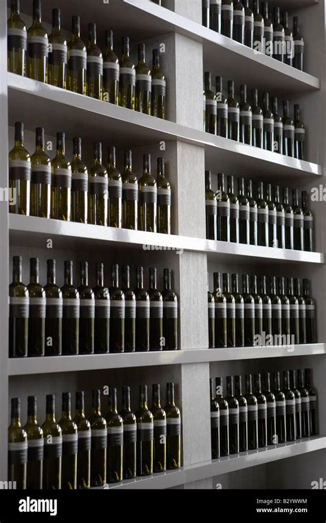 Bouteilles de vin rouge et blanc alignées sur une étagère