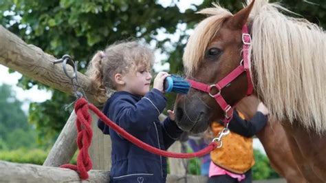 Enfant guidant un poney en longe dans un manège