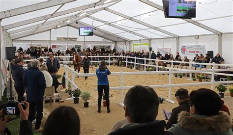 Foule assistant à un salon d'étalons