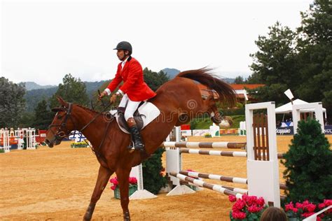 Cavalier et poney franchissant un obstacle