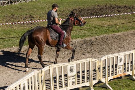 Un jockey et son cheval trotteur sur la piste