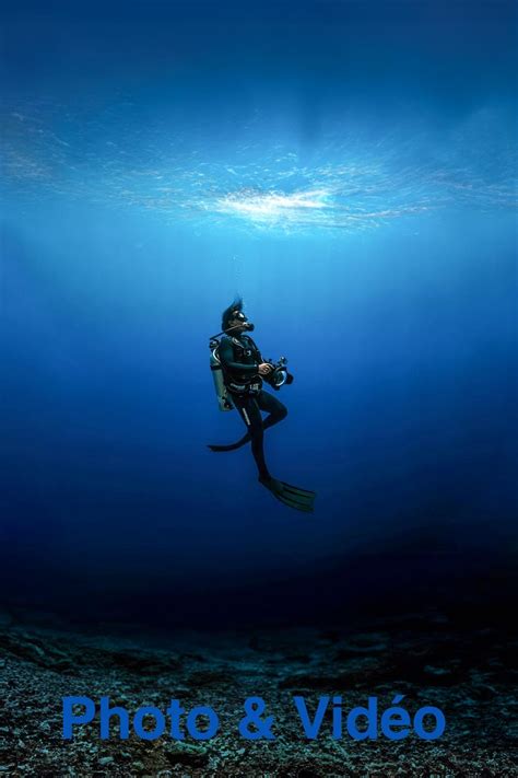 Matériel d'observation sous-marine pour l'étude du comportement aquatique