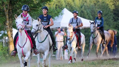 Groupe de cavaliers participant à une épreuve de Horseball