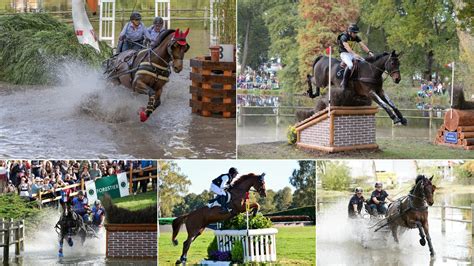 Équitation concours complet