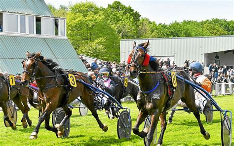 Damien Héon en action sur un hippodrome