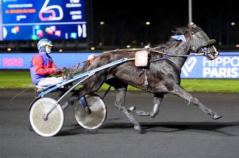 Photo de Gazoline du Seux en course