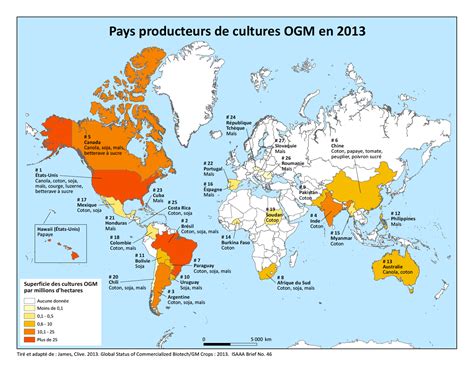 Carte du monde illustrant les principaux pays producteurs et consommateurs de produits issus du commerce équitable