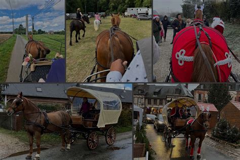 Une collection variée de calèches et traîneaux