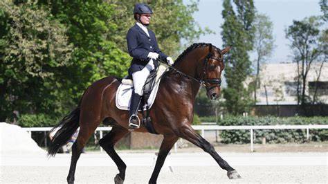 Image d'un cavalier exécutant une reprise de dressage