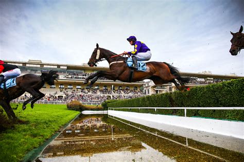 Représentation stylisée d'un cheval de steeple-chase franchissant un obstacle complexe.