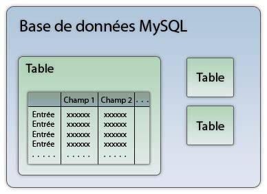 Structure d'une base de données hippique