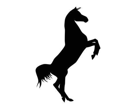 Silhouette de cheval au pas