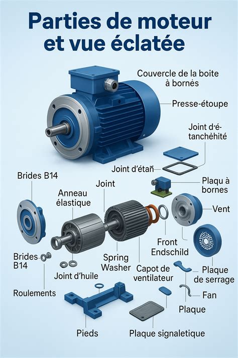 Vue éclatée d'une guêtre de cheval montrant ses différentes couches