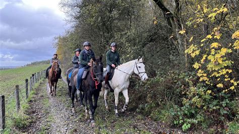 Groupe d'enfants souriants montant à cheval dans un cadre champêtre