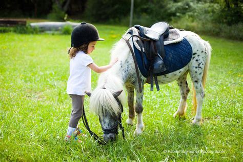 Enfant caressant un poney dans un centre équestre