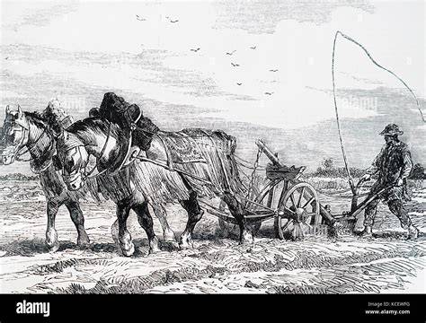 Gravure ancienne montrant des chevaux bretons tirant une charrue