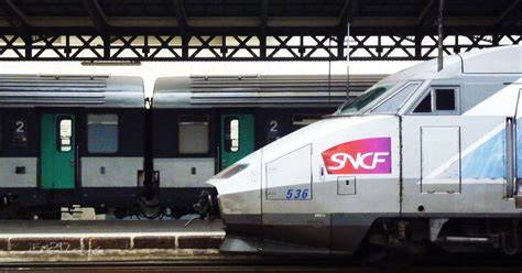 Train rempli de chevaux à quai dans une gare bretonne