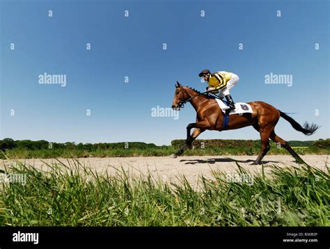 Jockey et cheval au galop sur une piste de course