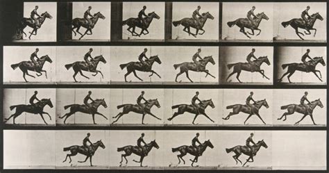 Chronophotographie du galop d'un cheval par Eadweard Muybridge
