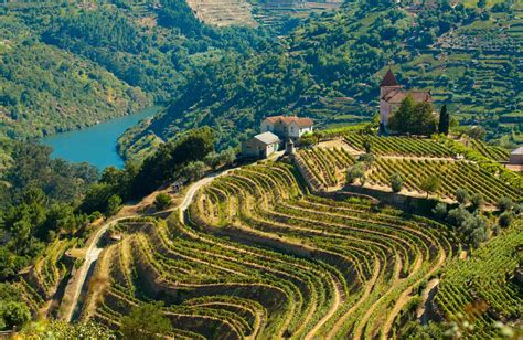 Paysage de la vallée du Douro avec des vignobles en terrasses