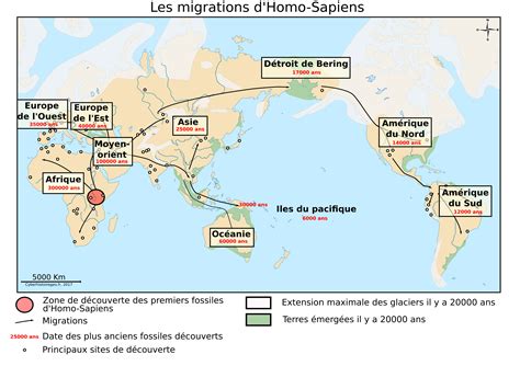 Carte illustrant les modèles de migration de l'Homo sapiens hors d'Afrique.