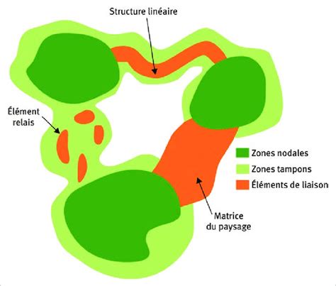 Représentation schématique d'un réseau d'interaction génétique.