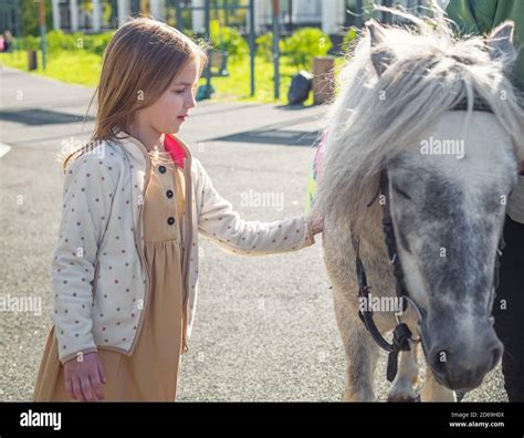 Jeune enfant caressant un poney Shetland