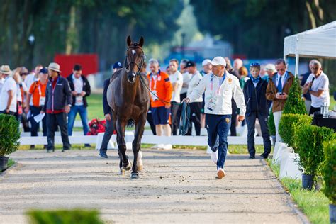 Cavalier et cheval lors d'un contrôle vétérinaire