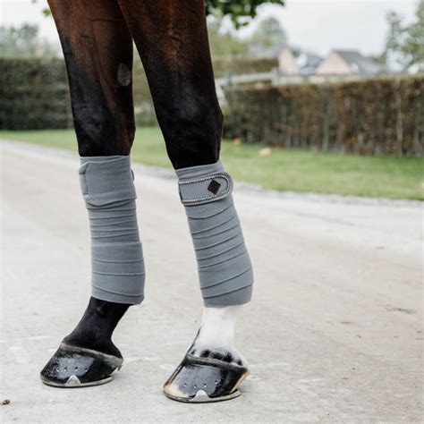 Cheval avec des bandes de polo sur les membres.