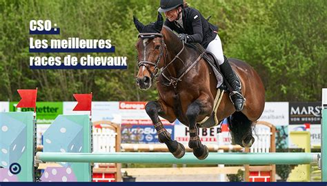 Diagramme illustrant les qualités d'un cheval de CSO