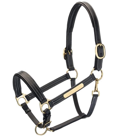 Licol en cuir noir pour cheval