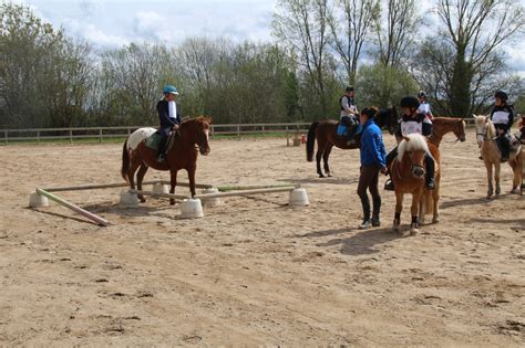 Diagramme montrant les 4 blocs de compétences du BPJEPS Équitation