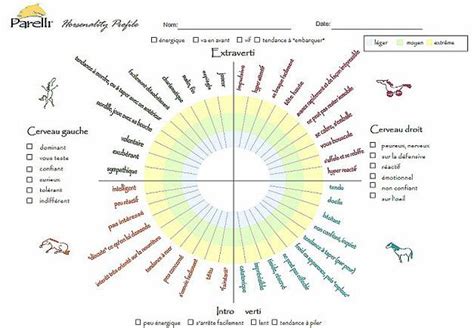 Diagramme des Horsenalities Parelli