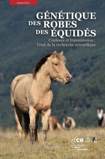 Diagramme simplifié de la génétique des robes de chevaux