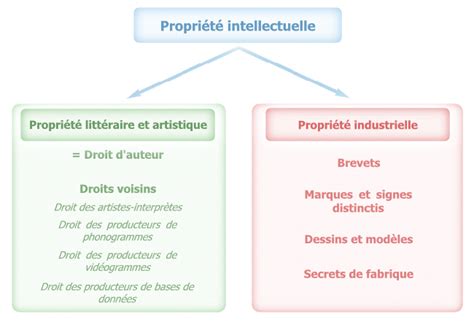 Schéma illustrant les droits d'auteur et la propriété intellectuelle