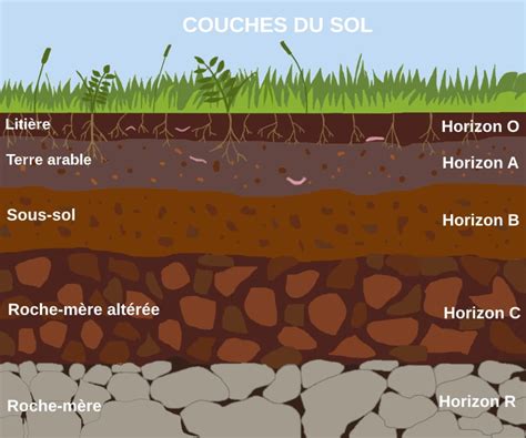 Schéma montrant les couches du sol et l'action du fumier sur la structure du sol